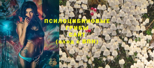 мескалин Белокуриха