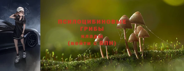 кокс Богданович