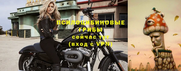 MESCALINE Богородицк